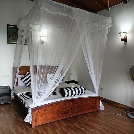 Divine View Homestay Ella Kültér fotó